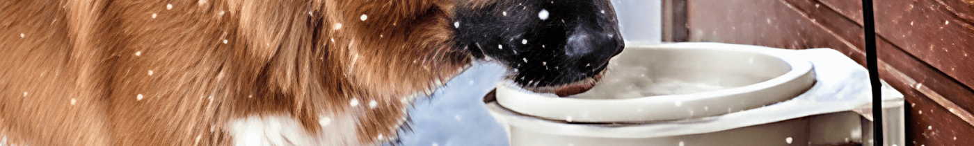 73ed167b-7836-4dc9-bcd0-f413cde57673-миска .png